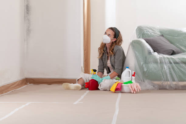 Reliable Mold Remediation contractor in New Jersey, NJ by Cheap Mold Removal